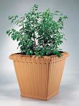 Square Fluted Planter