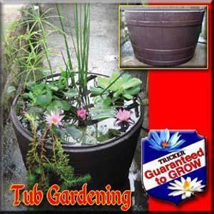 Wine Barrel Tub Garden