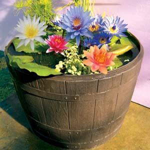 Tub Garden with plants