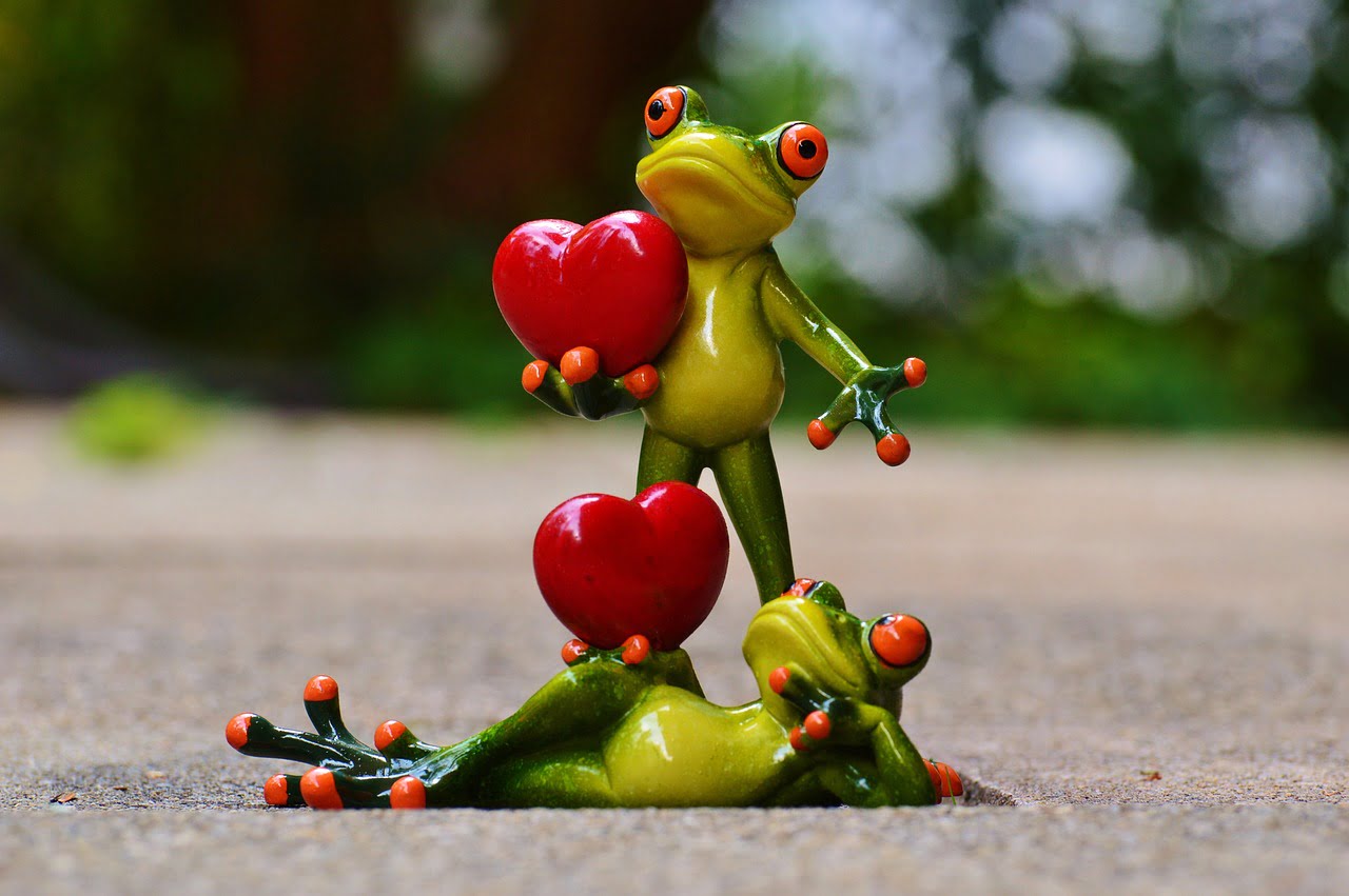 Courting Frog Gift Card