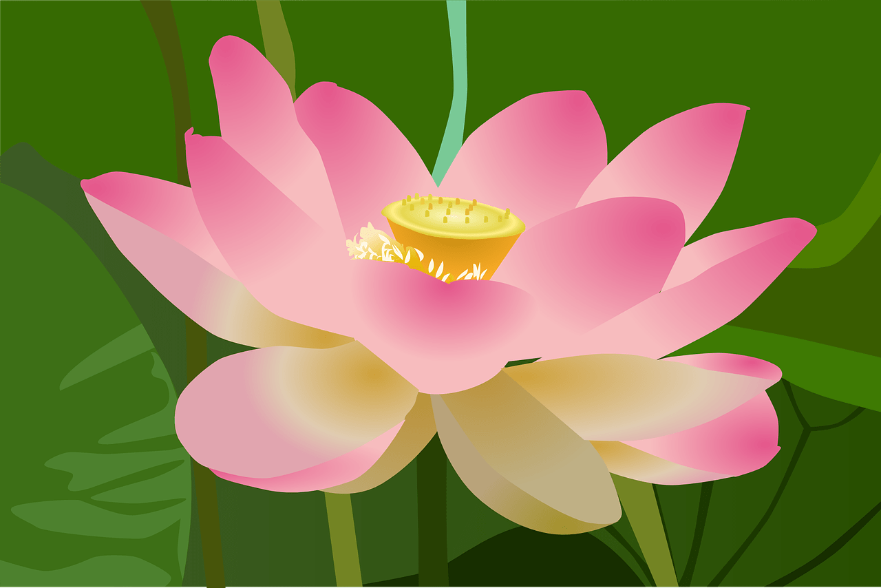 Pink Lotus Gift Card
