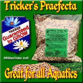 Praefecta Aquatic Fertilizer