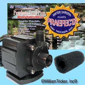 Praefecta<sup>(c)</sup> Pond Pumps, 5-yr Warranty