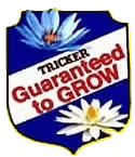 Shield of guarantee - w/o background